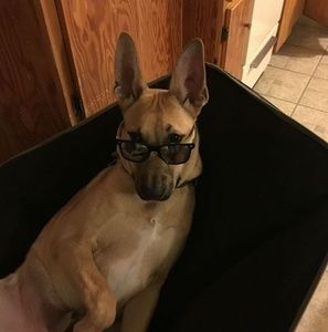 Meet your Posher, German